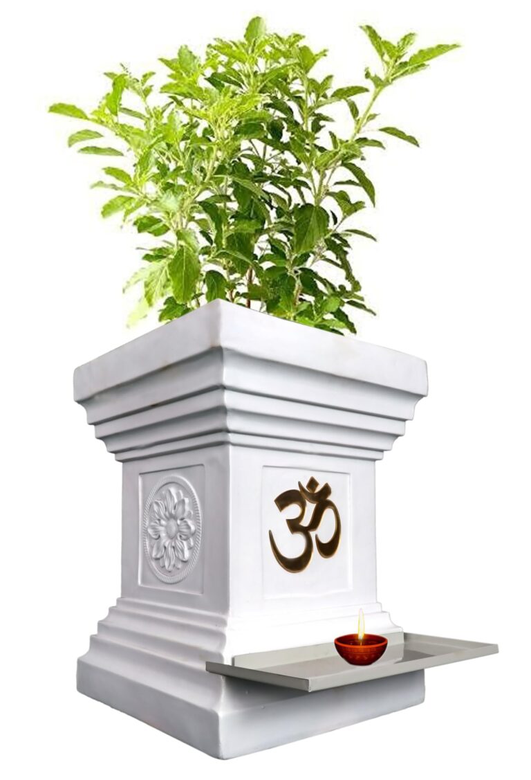 ତୁଳସୀ ଗଛର ଧାର୍ମିକ,ଔଷଧୀୟ ଗୁଣ ଏବଂ ତୁଳସୀ ଚୌରାର ବିଶିଷ୍ଟତା – Religious and medicinal properties of Tulsi plant and the importance of Tulsi Chaura