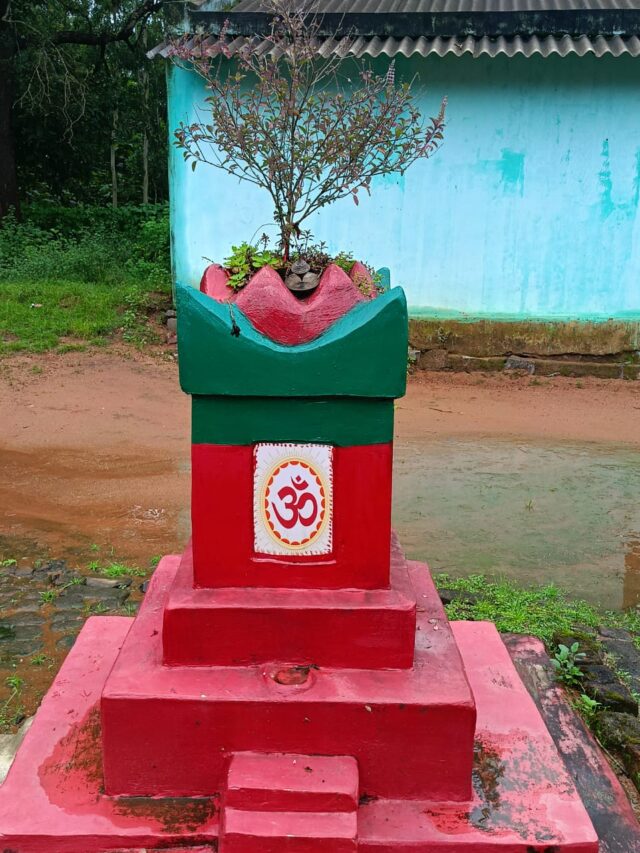 ତୁଳସୀ ଗଛର ଧାର୍ମିକ, ଔଷଧୀୟ, ବୈଜ୍ଞାନିକ ଗୁଣ ଏବଂ ତୁଳସୀ ଚୌରାର ବିଶିଷ୍ଟତା -Medicinal, religious & scientific  properties of Tulsi tree and the importance of Tulsi Chaura