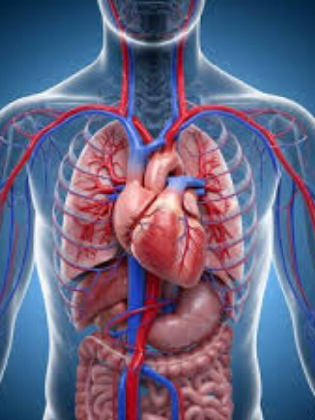 Science General Knowledge: 50 Questions and Answers on the Human Body
